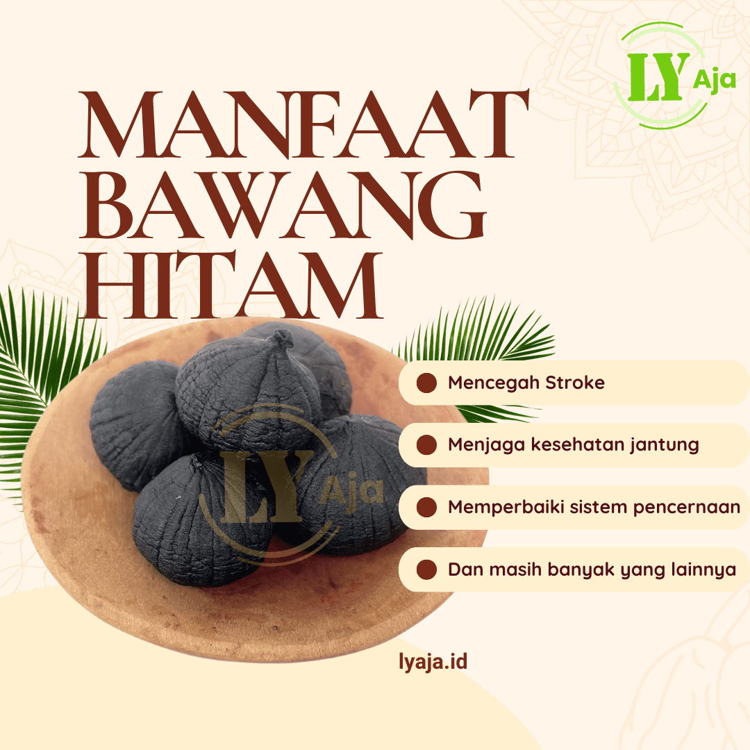 7 Manfaat Bawang Hitam Premium LY Aja yang Terbukti Ampuh untuk Kesehatan Tubuh