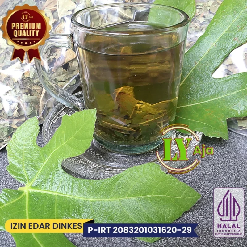 LY Aja Teh Daun Tin / Ara Kering – Daun Fig Herbal Alami Tanpa Campuran - Gambar 4