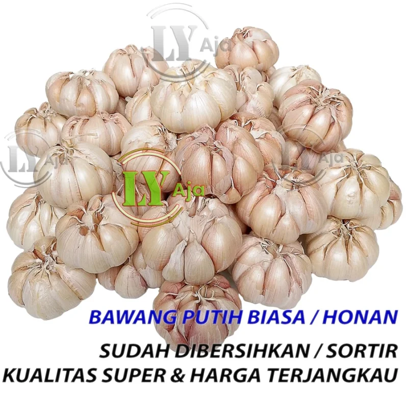 Bawang Putih Biasa Honan 1 KG BERSIH dan KOTOR Kualitas Super LY Aja 1Kg - Gambar 3